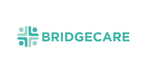 bridge care
