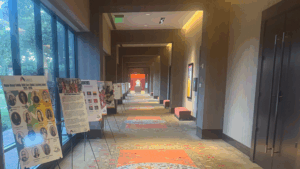 Learning convening