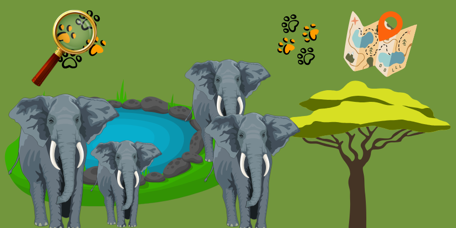 Family Adventure Week