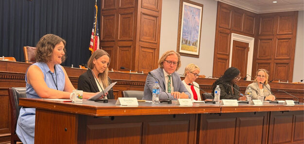 Daphne Alsiyao, NAFCC's Policy Strategist, attended a congressional briefing with Democratic members of the House Ways and Means Committee